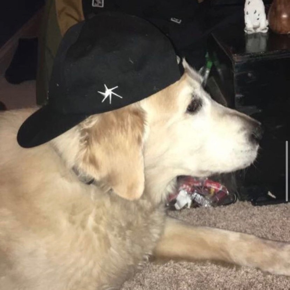 Meet your Posher, Matt